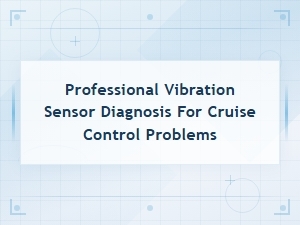 Professional Vibration Sensor Diagnosis for Cruise Control Problems